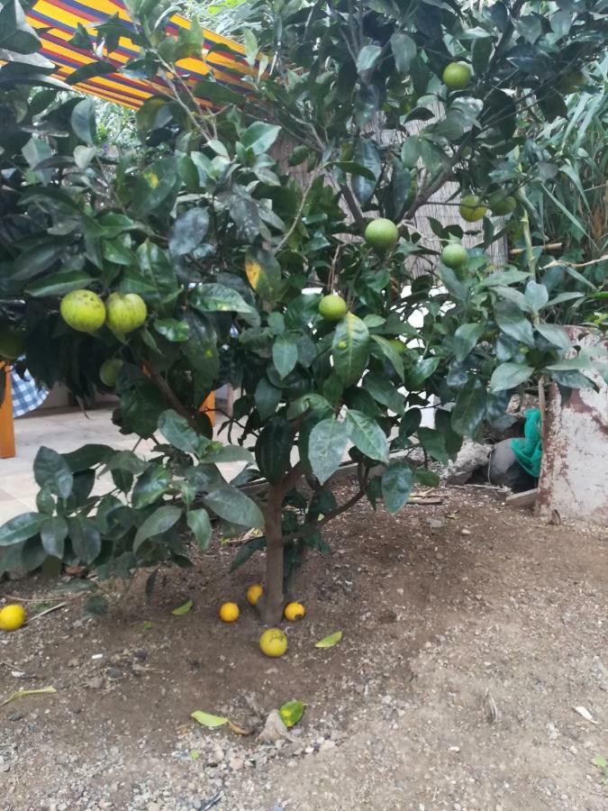 فيلا Casa La Terraza فاليهيرموسو المظهر الخارجي الصورة