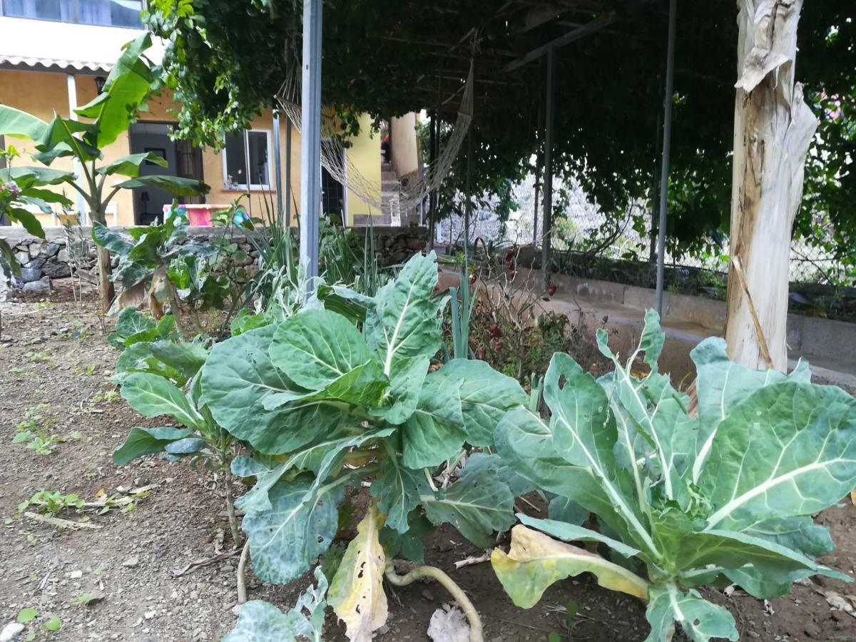 فيلا Casa La Terraza فاليهيرموسو المظهر الخارجي الصورة
