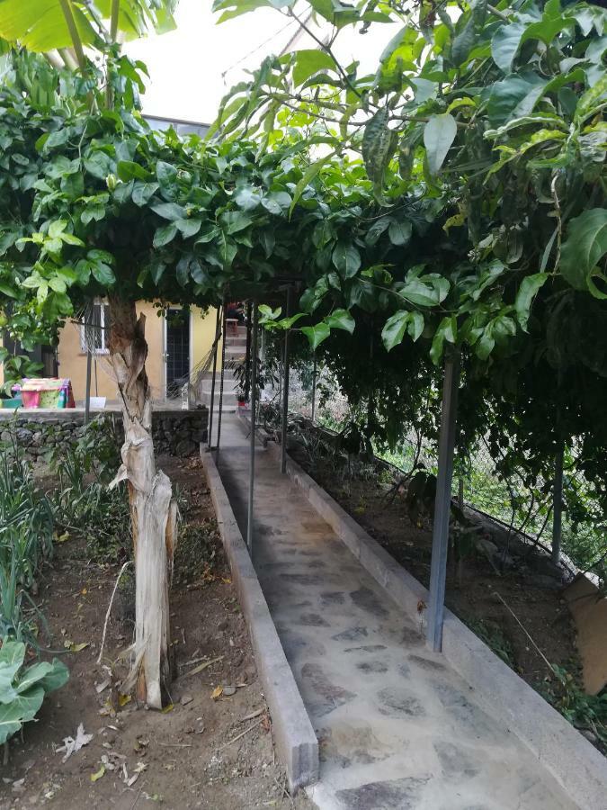 فيلا Casa La Terraza فاليهيرموسو المظهر الخارجي الصورة