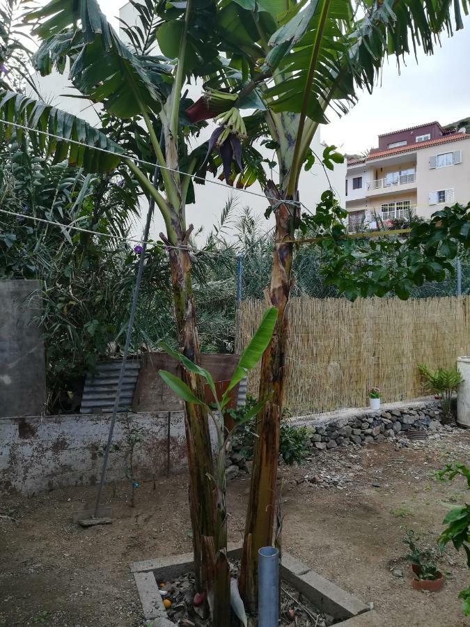 فيلا Casa La Terraza فاليهيرموسو المظهر الخارجي الصورة